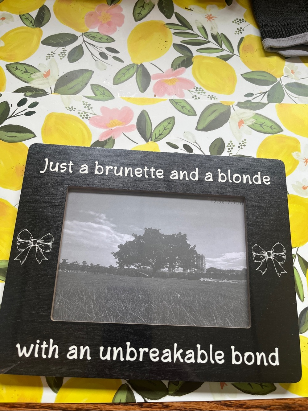 Brunette and Blonde Unbreakable Bond Wood Accent Sign - Personalized Home Accent
